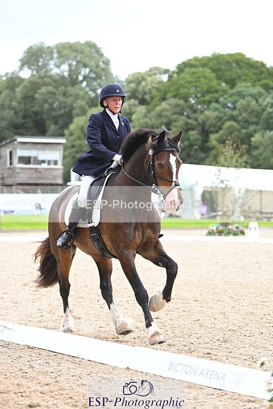 230813-140959-07691 - Cls 13 Medium Bronze 13.15 to End