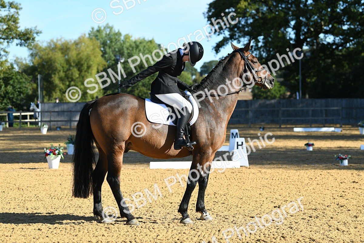 SBM_16204 - D4 - Small Tour Championship - Intro B
