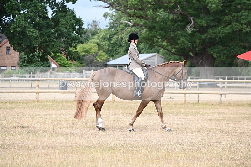 WJ6_7516 - Class 9 Tack and Turnout