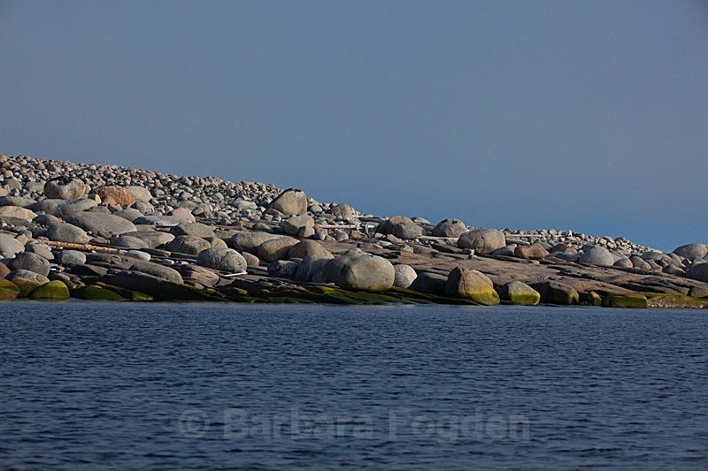 Foynøya 8065 - Trip with MS Expedition August 2016