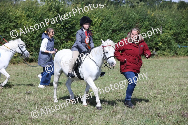 20250831-2585 - Class 16 - Family Pony