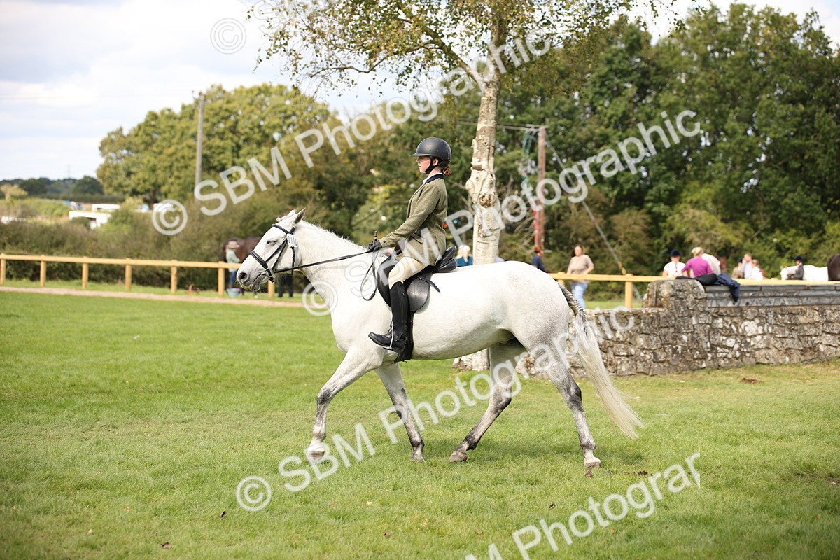 SBM_42327 - S13 - Pony Club Pony