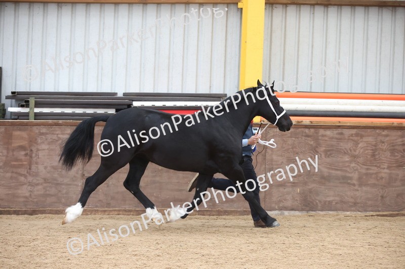 20251109-0992 - Class 26 - 2 and 4 Year Olds