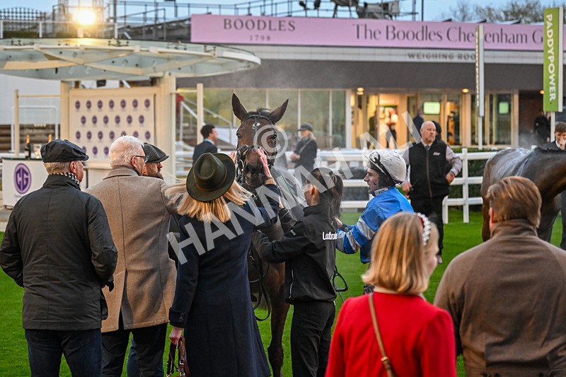 151125-Race 7-Divine Diva-4856 - Race 7