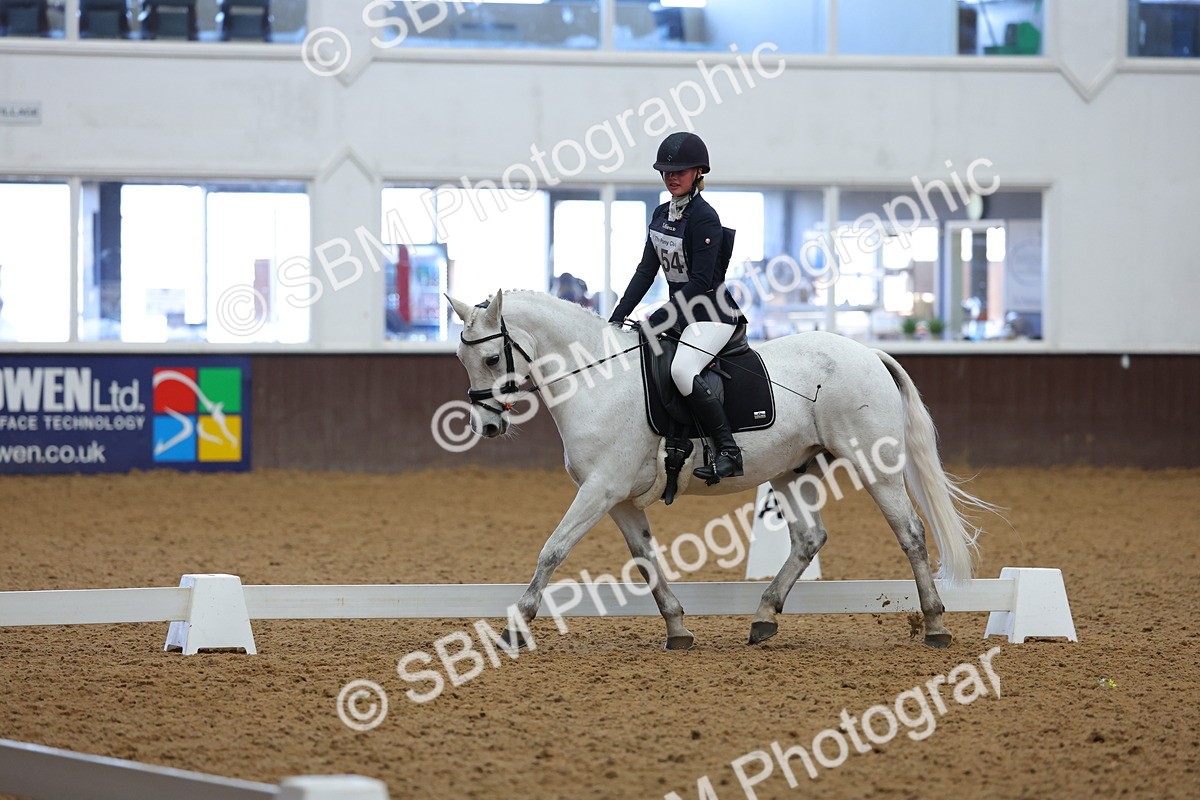 SBM_002924 - Novice