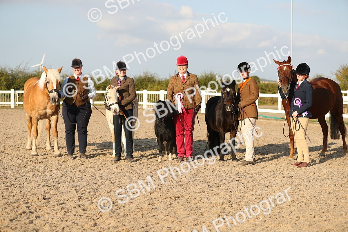 SBM_09165 - Class 29 IH Veteran Pony
