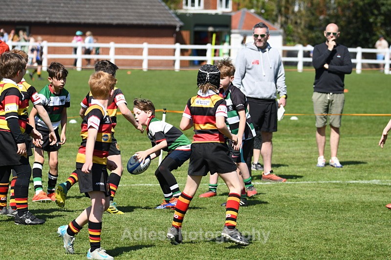  - Selby Rugby Festival 2025