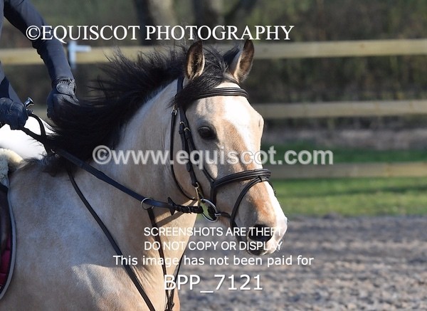 BPP_7121 - CLASS 18 SUN Pony British Novice / 0.80m Open