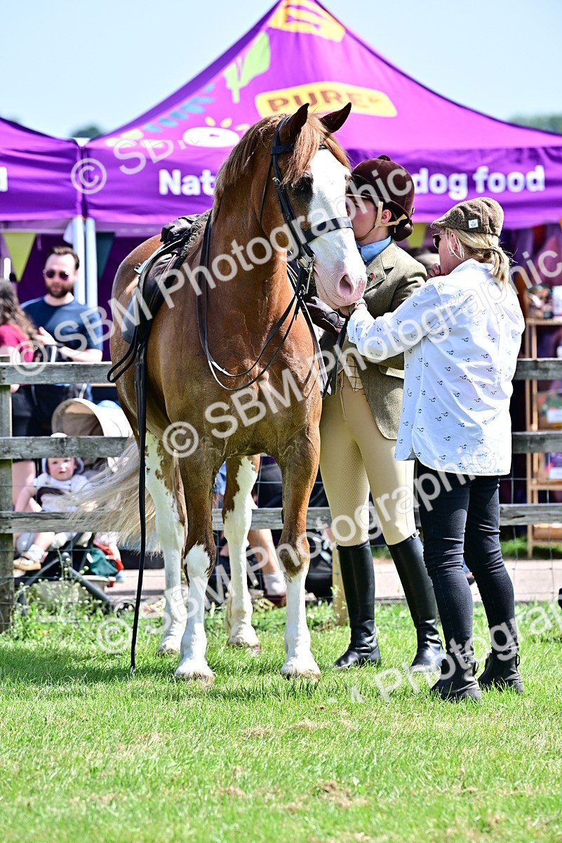 SBM_03919 - Class 58 - TSR  Ridden Veteran Amateur of the year