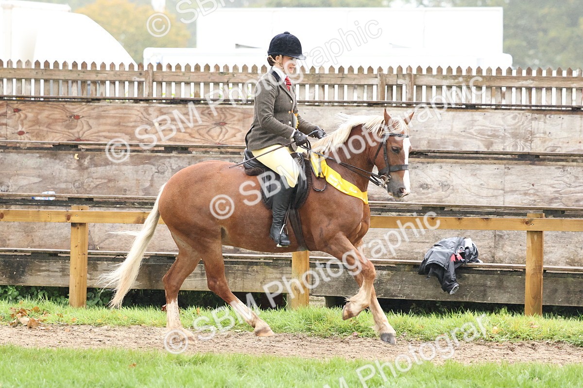 SBM_73125 - Ridden Pony Supreme Championship