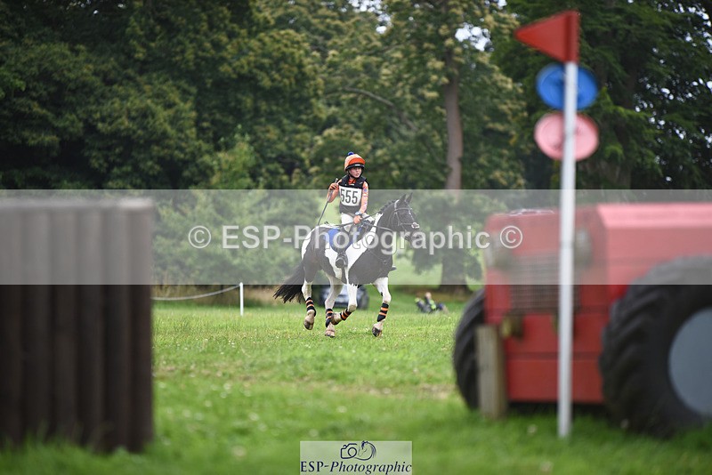 240804-144031-14813 - 555-Jack_Wish-WESTERLAKE_BUTTONWEED