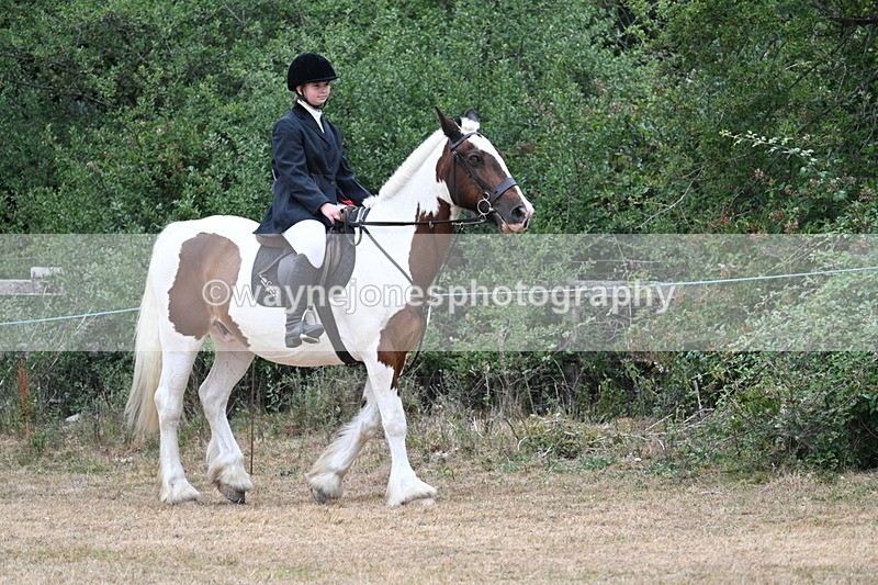 WJ7_1077 - Class 8 Ridden Veterans