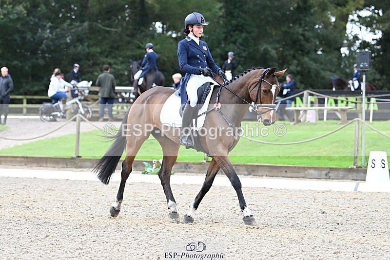 231019-122220-02740 - 044-COOLEY.ON.THE.CARDS-Charlotte.Cooke-DR