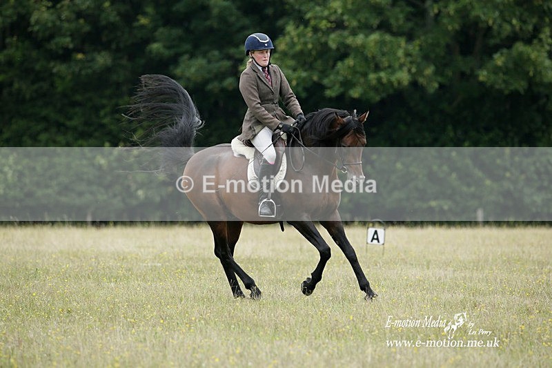 BVRC 030721 206 - Bourne Valley Riding Club Dressage 03/07/21
