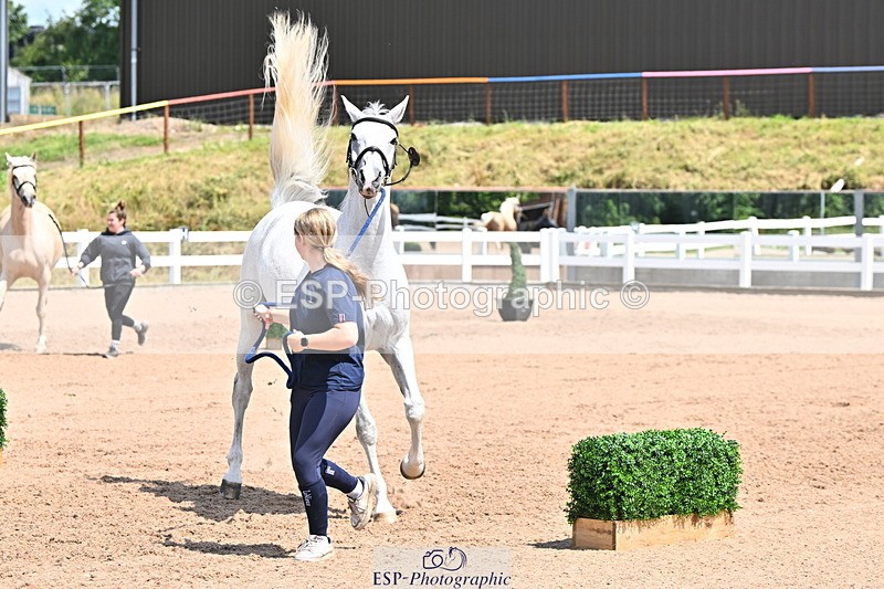 240718A-105315-01765 - Trot Up 1pm to 2pm