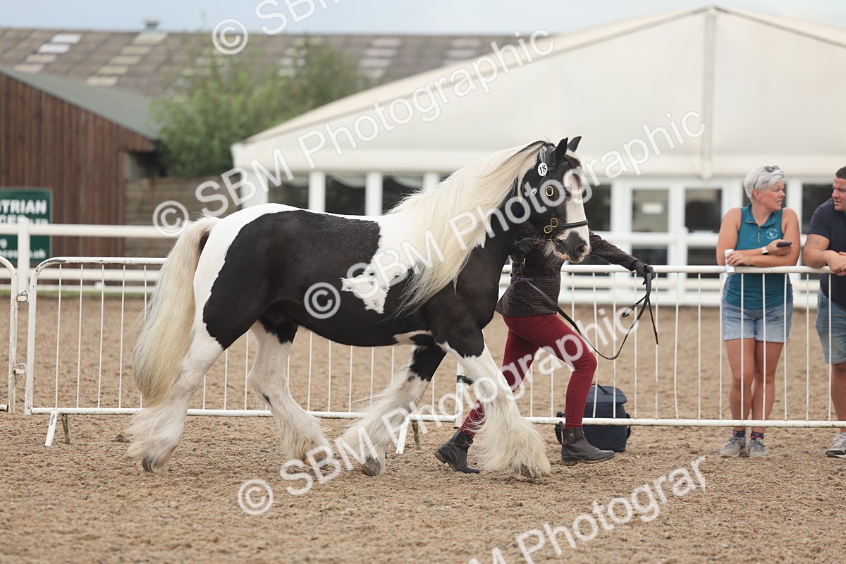 SBM_08416 - Class 29 - IH Veteran Pony