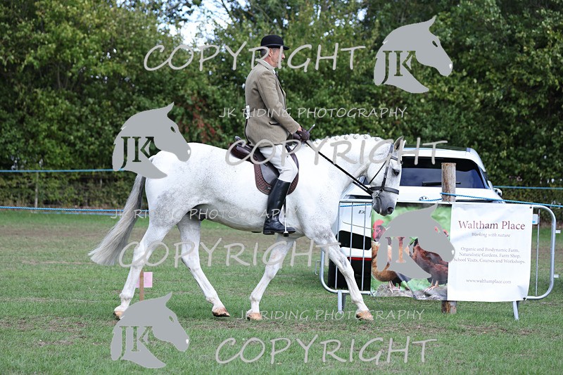APP_4114 - Class 15a/b Pony club pony/Riding club horse
