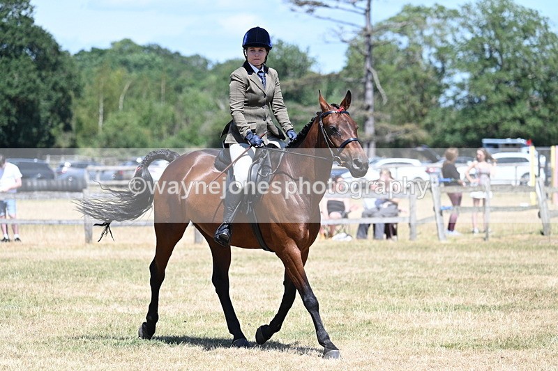 WJ7_3060 - Class 7 Riding Club Show Horse