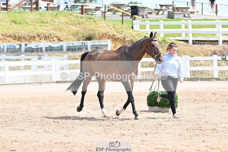 240717A-144927-02318 - Trot Up 2pm to 3pm - This folder is not in time order