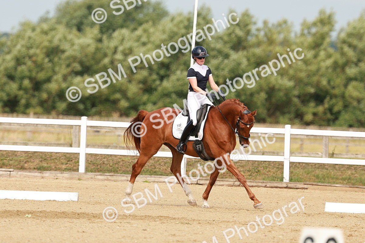 SBM_021619 - Class 13 - N5