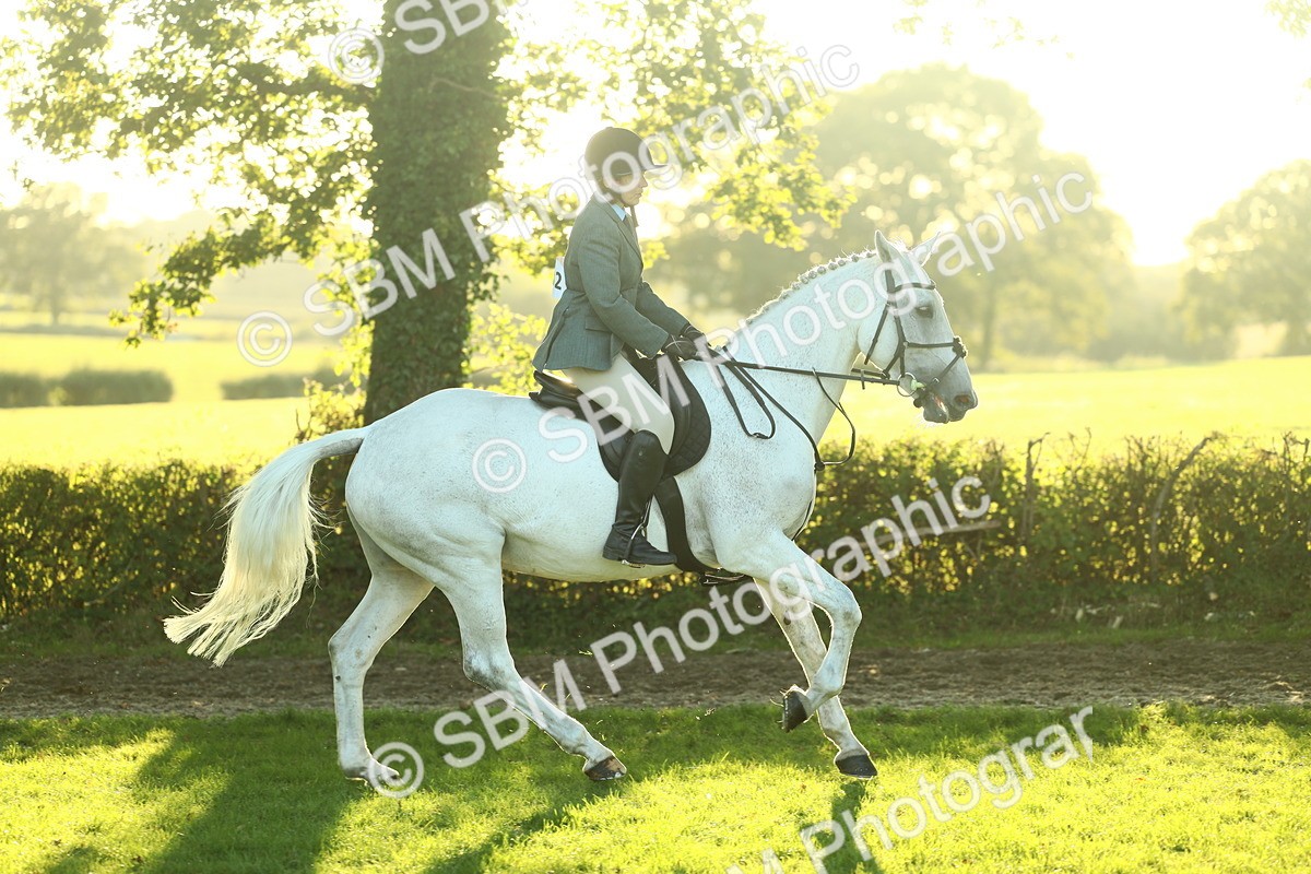 SBM_56407 - S14 - Riding Club Horse
