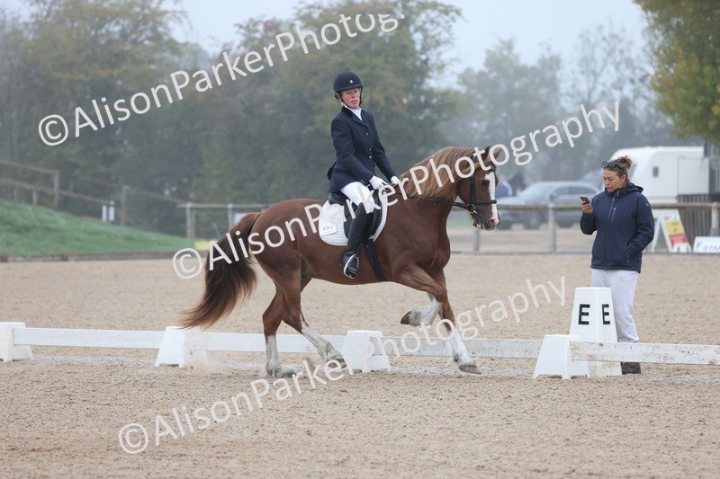 20251012-0010 - Class 1 - Prelim 5