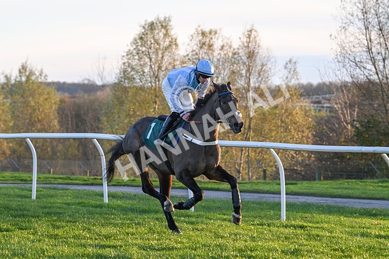 221124-Race 6-Presentandcounting-5331 - Race 6