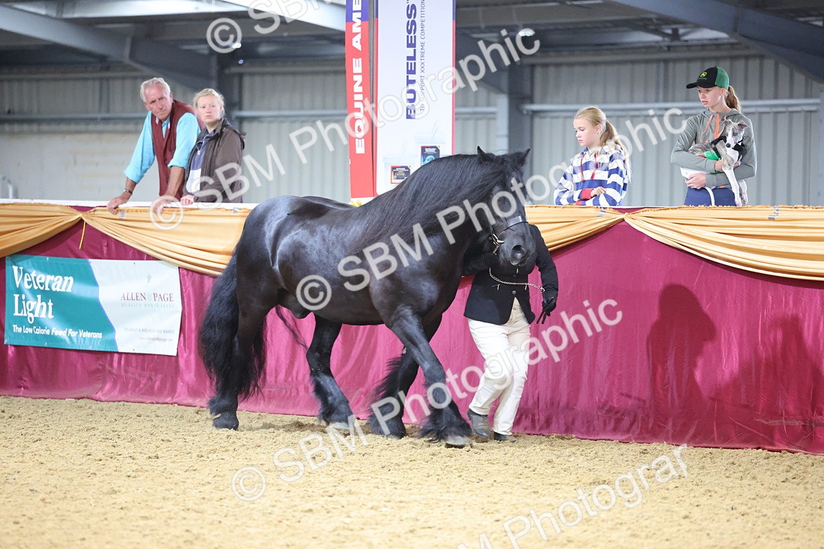 SBM_22821 - Class 903 - Supreme Final - IH Pre Vet