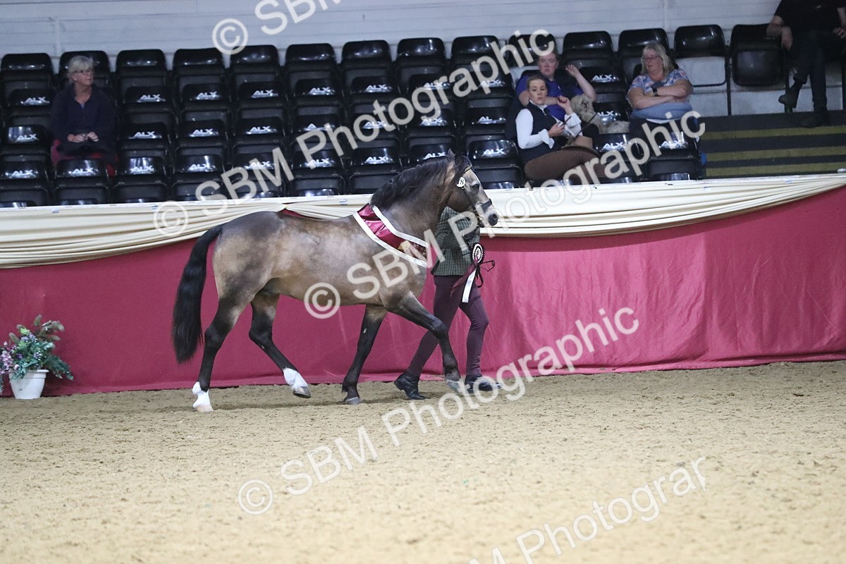 SBM_15449 - Class 501 M&M IH Supreme Final