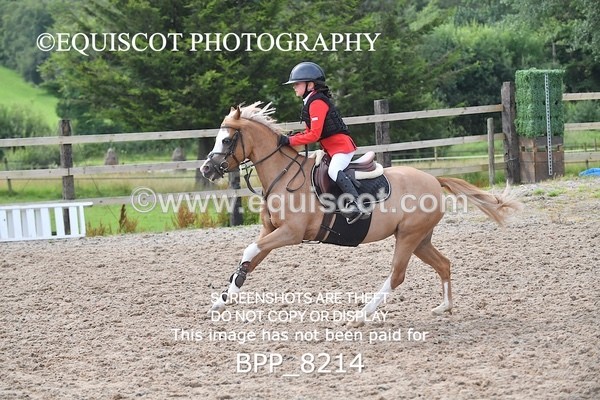 BPP_8214 - CLASS 13 SUN Pony BritiNovice / 0.80m Open