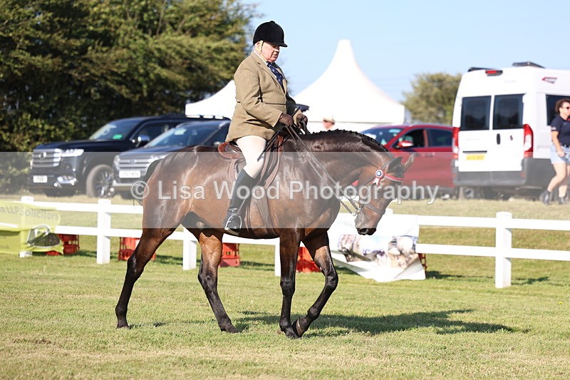3E7A5235 - Class 2: Rising Star Large Hack/Riding Horse