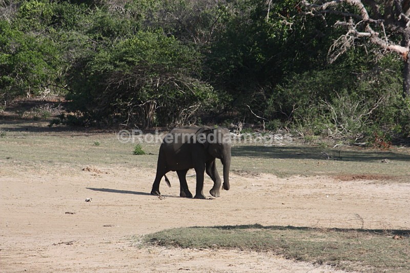  - Travel and culture