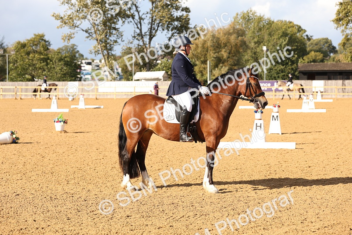 SBM_27026 - D17 - Grand Tour Championship Novice 3