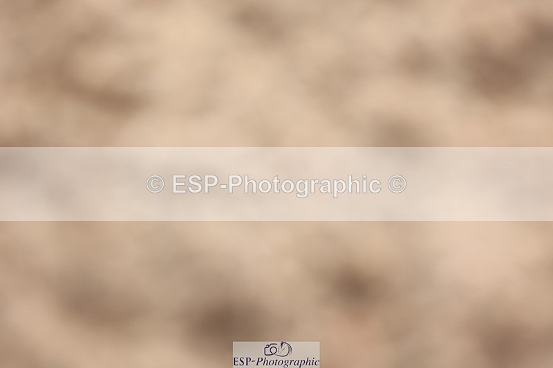 250629-172402-13705 - Cls 30 138cm HOYS Qualifier