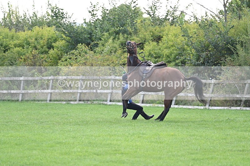 WJ7_0934 - Time 13:30 to 13:54