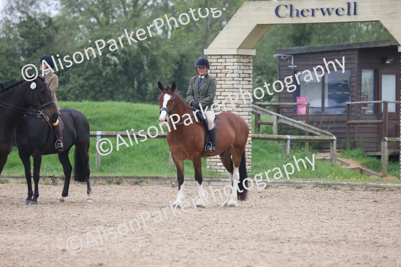 20260504-1146 - Class 14 - Cob and Hunter