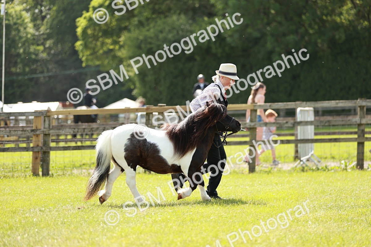SBM_01966