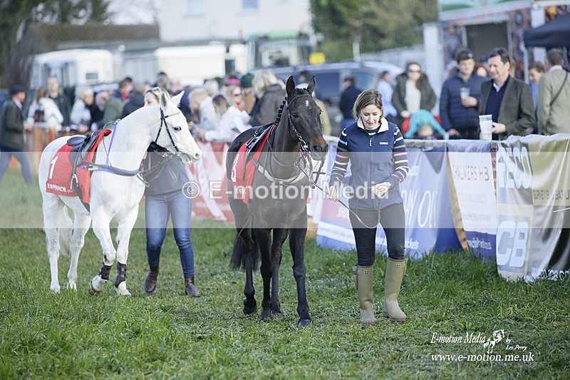 PtP 200322 491 - Mendip Farmers Point-to-Point 20/03/22