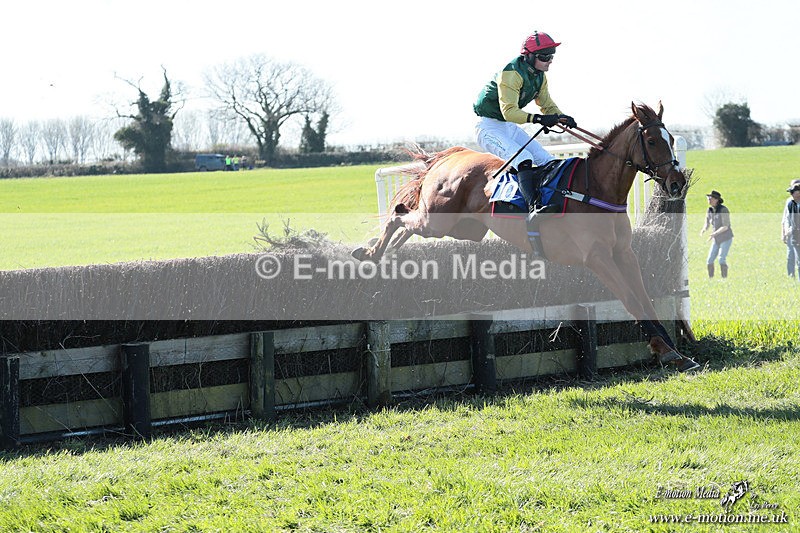 PtP 210326 106 - VWH Cirencester Races 21/03/26
