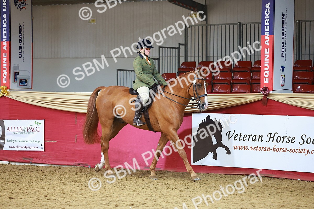 SBM_09568 - Class 102 - HOYS Veteran Qualifier - Ridden Veteran