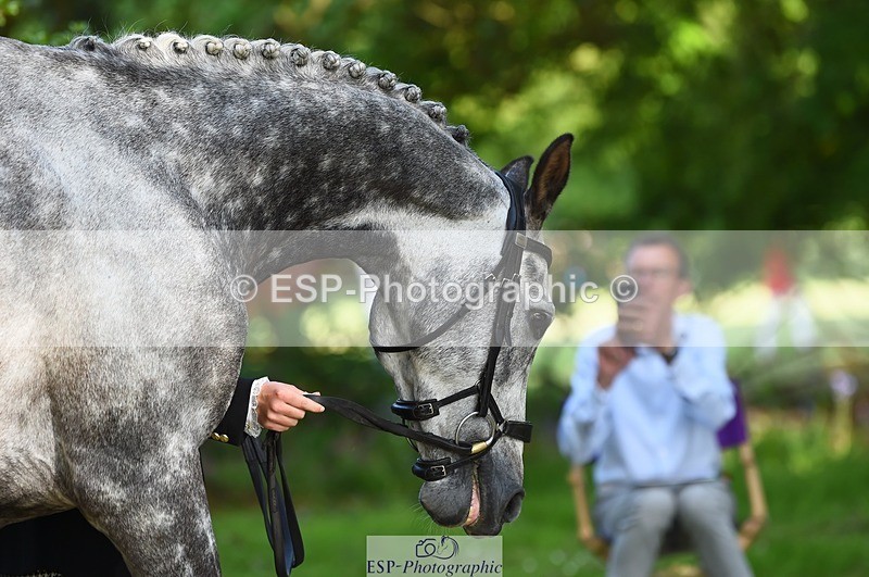 230524-170250-01254 - 130-CFH_DAKAR_HILL-Millie_Juleff-WEDTrotUp+DR