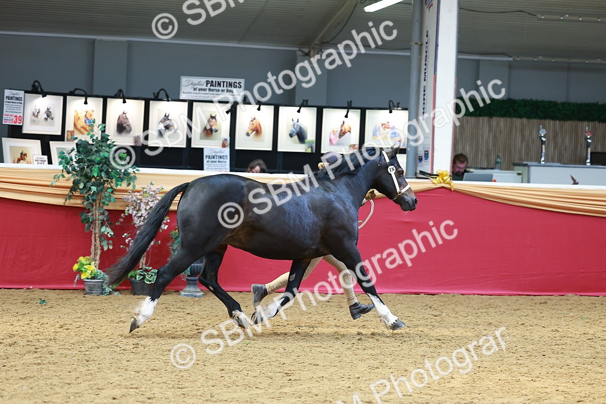 SBM_04117 - Class 9R - IH Pre-Vet