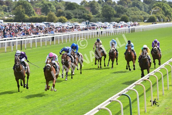 yr17082022r2-34 - Race 2 2.25pm Tattersalls Acomb Stakes