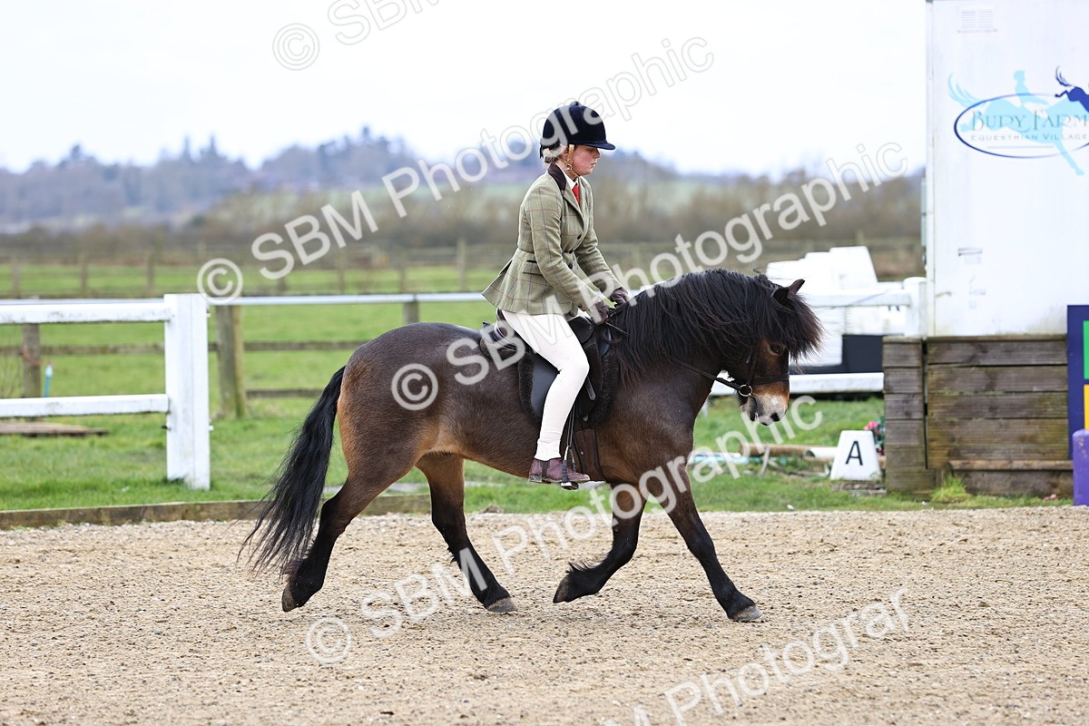 SBM_006771 - Class 29 - 30 - M&M Pure Novice Small-Large Breeds