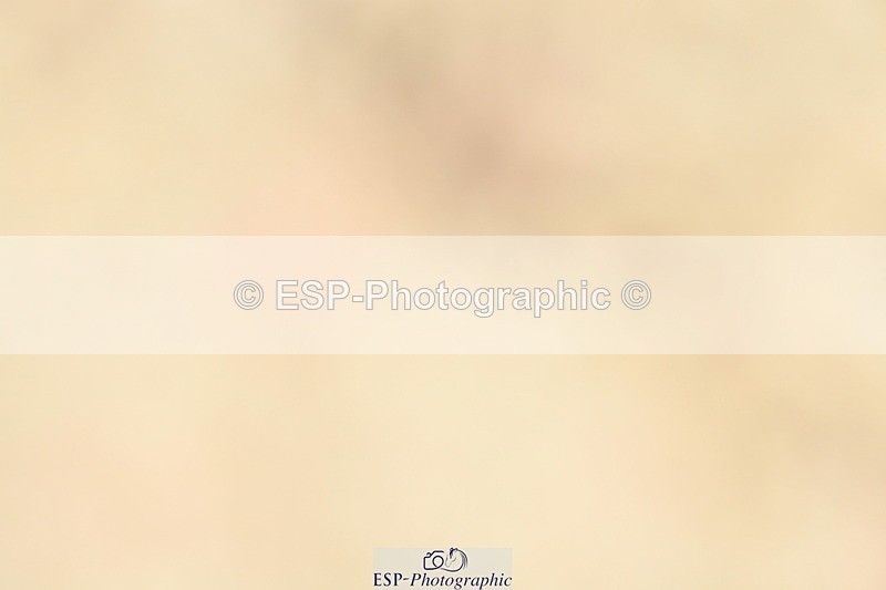 230701A-131907-06288 - Cls 12, 15 + 19 Music Medium, Adv Medium + Inter I