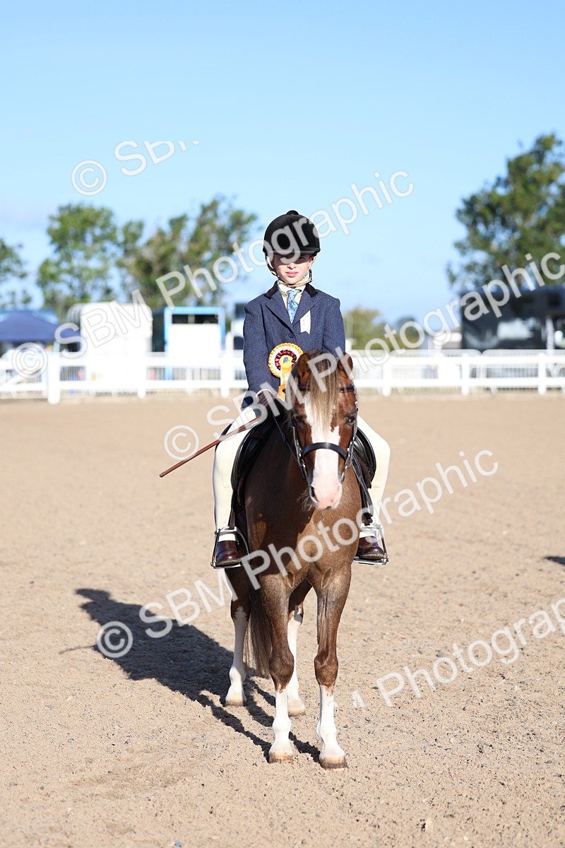SBM_07865 - Class 301 - Ridden M&M - Small Breeds