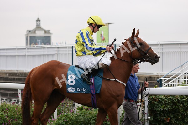 yr22072022r3-29 - Race 3 6.20pm Tomahawk Stakes