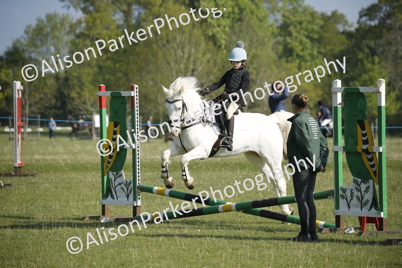 20250427-0258 - Class 12 - Rookie Jumping 40cm