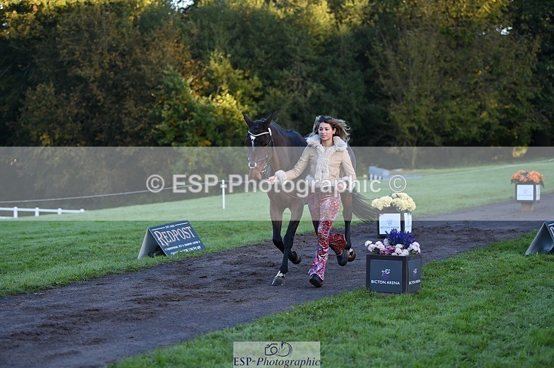 231022-084506-21330 - 670-SEEK.INDI-Maia.Ramasamy-TrotUp+SJ