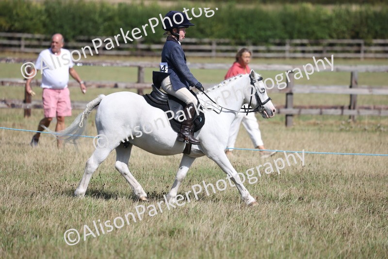 20260906-2571 - Class 18 - Childs First Pony